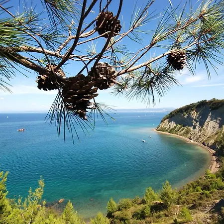 Wellness Apollo - Terme & Wellness Lifeclass Hotel Portoroz