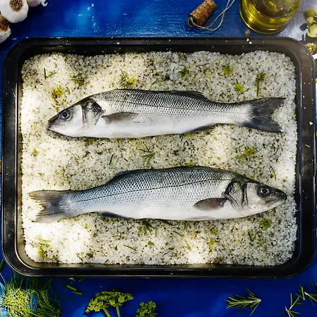 Wellness Apollo - Terme & Wellness Lifeclass 4*