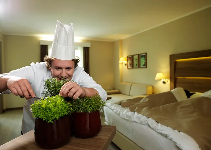 Wellness Apollo - Terme & Wellness Lifeclass 4*