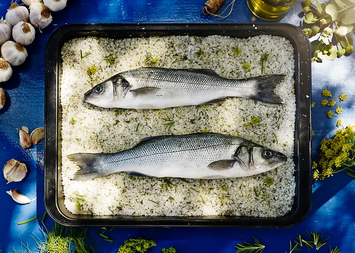 Wellness Apollo - Terme & Wellness Lifeclass 4*